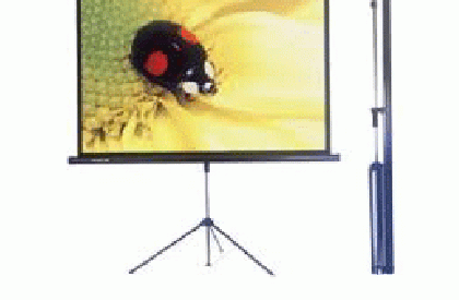 Bán màn chiếu, phụ kiện máy chiếu giá rẻ Maychieu.vn